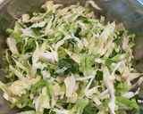 大葉とキャベツの酢和え物作り方1写真