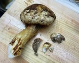 炊き込みご飯　松茸作り方1写真