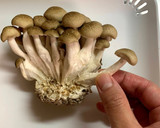 たっぷりきのことさんま缶の炊き込みご飯作り方6写真
