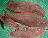 フクラギ（ぶりの幼魚）のお刺身作り方2写真