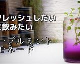 パープルミントレモネード作り方1写真