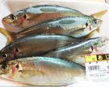 アジのトマト煮込み作り方1写真