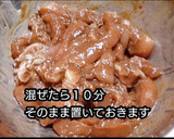 動画レシピ鶏むね肉なすのマヨウスター炒め作り方1写真
