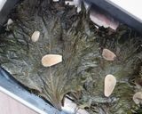 めんつゆで作る　合法ハーブshiso作り方3写真