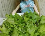 リカちゃん♡うずらのピータンサラダ꧂作り方18写真