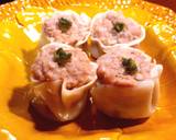 鶏・豚つくね　肉団子の作り置き　発酵玉葱作り方10写真