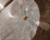 いつもこの作り方、栗の渋皮煮作り方9写真