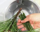 松葉ジュースの作り方(２日分)作り方1写真