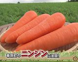 幕別町　ニンジン①ニンジンのクリーム作り方1写真