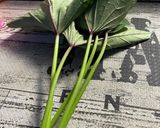 農家の芋づる　シャキシャキきんぴら作り方1写真