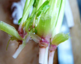 きちんとした青菜のおひたし～基本のお浸し作り方1写真