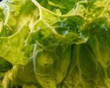 すぐできるサラダのような白菜の漬け物作り方3写真