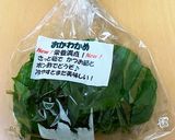 ツルトロ　おかわかめ作り方1写真