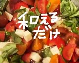 トマトとバジルとcheeseのsalad作り方15写真