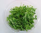 レンジで☆豆苗とカニカマのひじきサラダ作り方1写真
