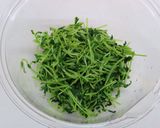 レンジで☆豆苗とカニカマのひじきサラダ作り方2写真