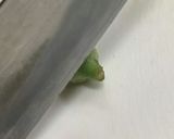 簡単！オクラのポン酢漬け作り方1写真