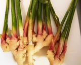 谷中生姜の肉巻き作り方1写真