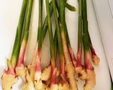 谷中生姜の肉巻き作り方2写真