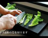 夏バテに！生春巻きの作り方・巻き方作り方3写真