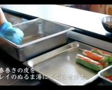 夏バテに！生春巻きの作り方・巻き方作り方8写真