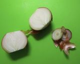ぷちっと鍋を使った札幌黄のポトフ作り方1写真