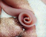 魚肉ソーセージの飾り切り（薔薇）作り方5写真