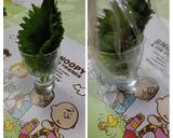 大葉・パセリを新鮮に持たせる方法作り方10写真