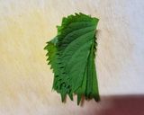 超簡単♪カツオのたたき大葉和え(^^)!作り方3写真