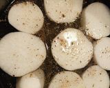 ストウブでふろふき大根作り方4写真