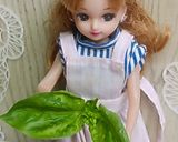 リカちゃん♡たまごとバジルのフワッと焼き作り方1写真
