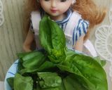リカちゃん♡たまごとバジルのフワッと焼き作り方10写真