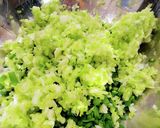 祖母直伝☆ウチの簡単ギョーザ作り方4写真