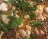 best本格的麻婆豆腐２０２１　中華作り方5写真