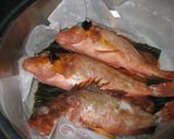 ガシラ（カサゴ）の炙り蒸し>ﾟ)))彡作り方4写真