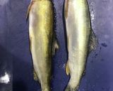 あゆの塩焼き〜骨の抜き方作り方1写真