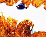 えのきカリカリ焼き★おつまみ作り方7写真