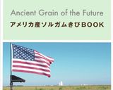 ソルガム粉ソーダブレッド　米粉不使用GF作り方6写真