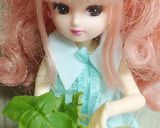 リカちゃん♡クリチサーモンバジル香る前菜作り方13写真