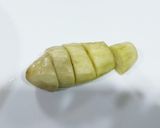 レンジで簡単☆ナスのたっぷりゴマあえ♪作り方5写真