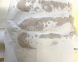 基本の煮魚♫魚の煮付け作り方6写真