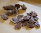 砂肝とパクチーの台湾和え作り方3写真