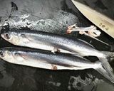 飛魚のつみれ汁作り方3写真