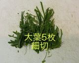 茗荷ツナ　おつまみ作り方3写真