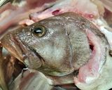 【釣りごはん】☆マハタのお頭の煮付け作り方3写真