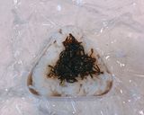 塩昆布で、ふじっ子煮風、昆布のおにぎり！作り方3写真