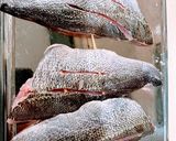 釣って来たイサキの湯引き丼作り方1写真