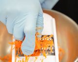 美味シーザーチキンサンドウィッチ　作り方6写真