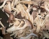 鶏肉のクリーム煮（乳成分不使用）作り方3写真