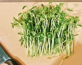【簡単和食】豆苗と油揚げのお浸し作り方3写真